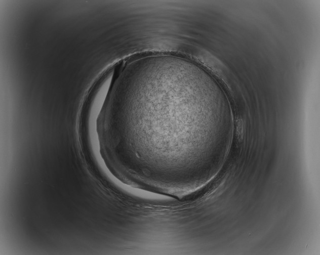 X0000088080676200705251409