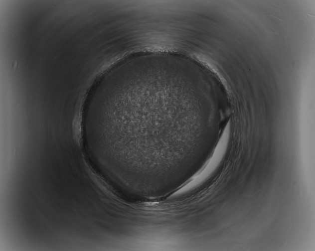 X0000088080677200705251409