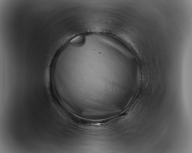 X0000088080678200705251409