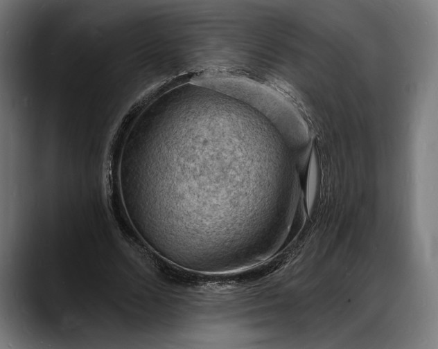 X0000088080680200705251409
