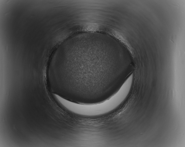X0000088080681200705251409