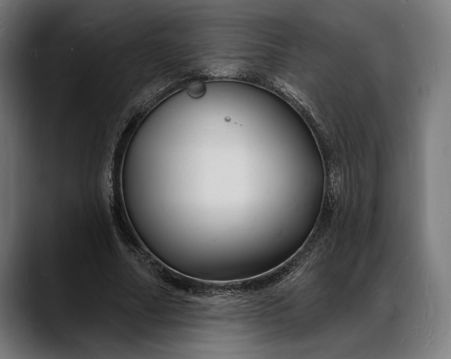 X0000088080682200705251409