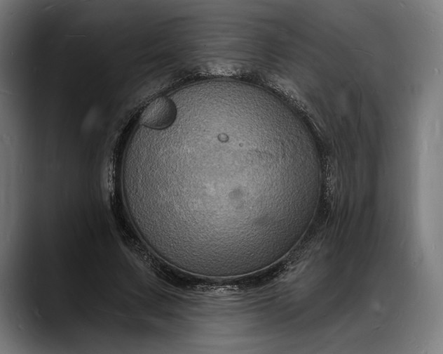 X0000088080683200705251409