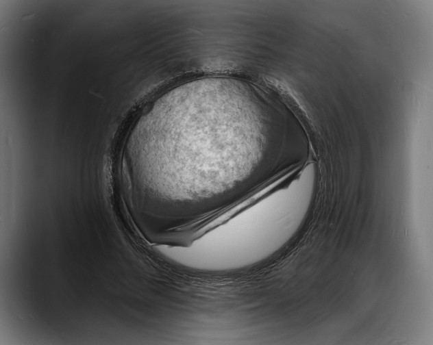 X0000088080684200705251409