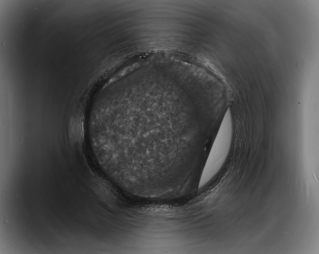 X0000088080685200705251409