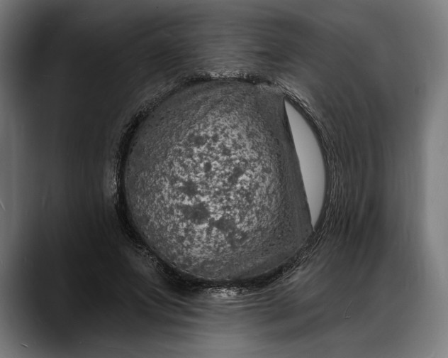 X0000088080687200705251409