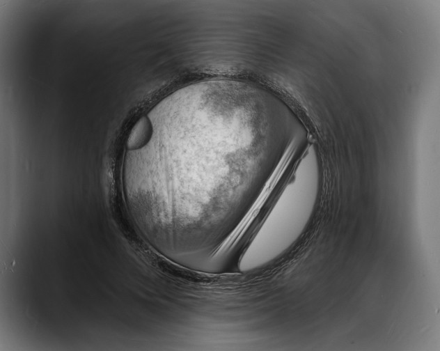 X0000088080688200705251409