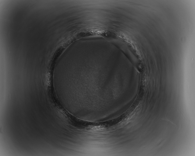 X0000088080689200705251409
