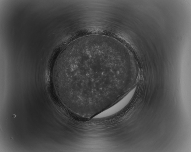 X0000088080692200705251408