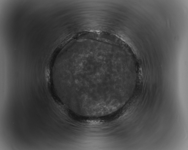 X0000088080693200705251408