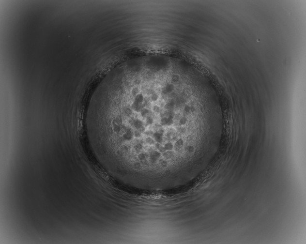 X0000088080695200705251408