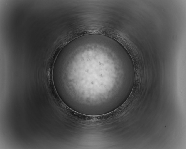 X0000088080696200705251408