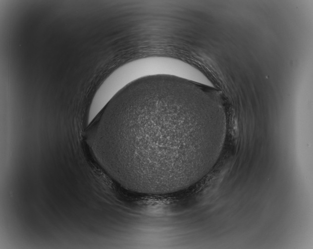 X0000088080697200705251408