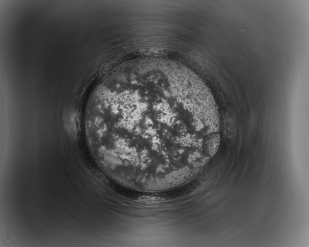 X0000088080699200705251408