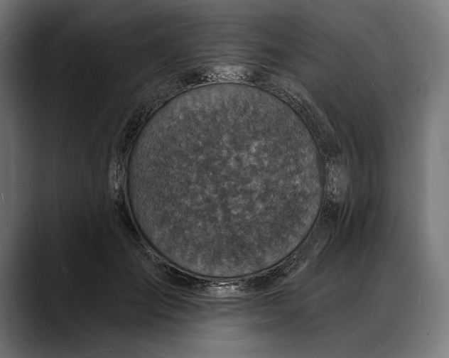 X0000088080701200705251408