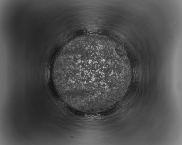 X0000088080703200705251408