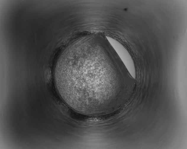 X0000088080704200705251408