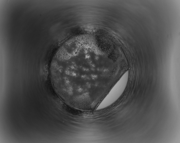 X0000088080707200705251408
