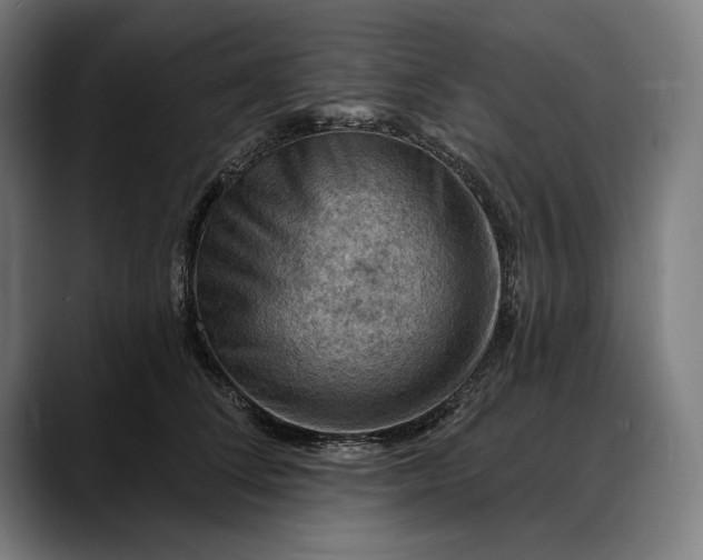 X0000088080708200705251408