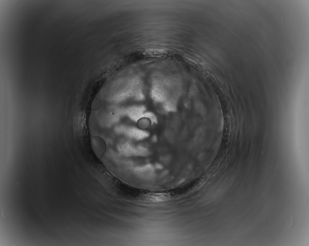 X0000088080711200705251408