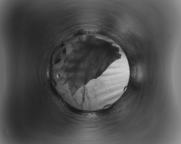 X0000088080715200705251408