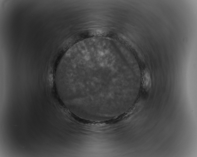 X0000088080716200705251408