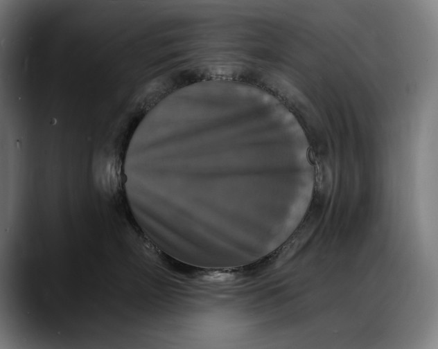 X0000088080718200705251408