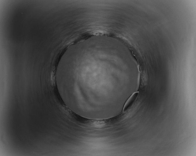 X0000088080719200705251408