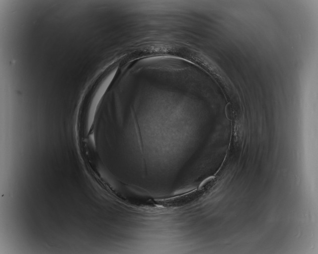 X0000088080722200705251408