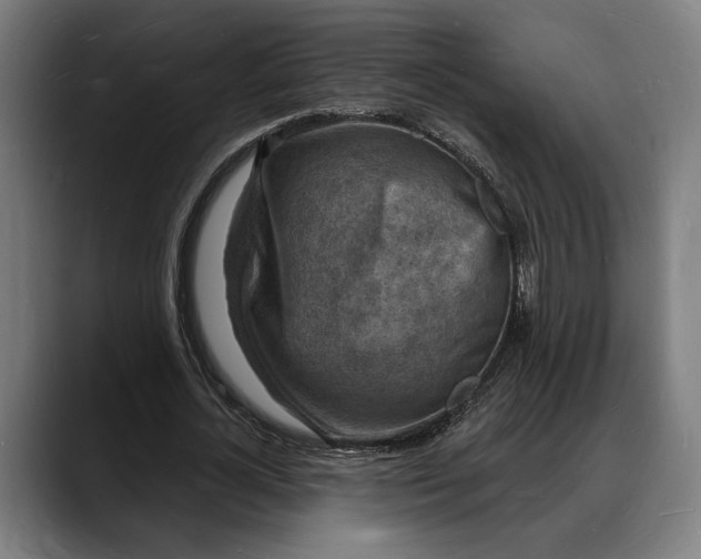 X0000088080724200705251408