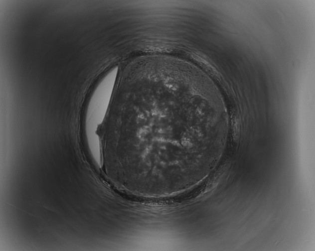 X0000088080729200705251408
