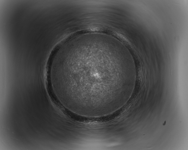 X0000088080730200705251408