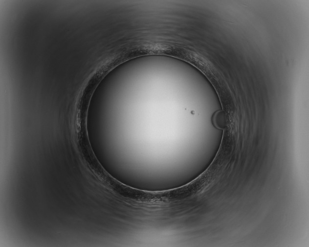 X0000088080731200705251408