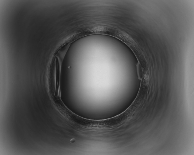 X0000088080732200705251408