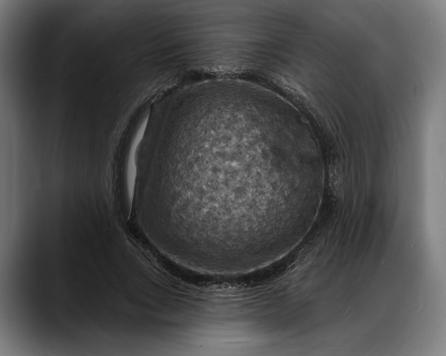 X0000088080735200705251408