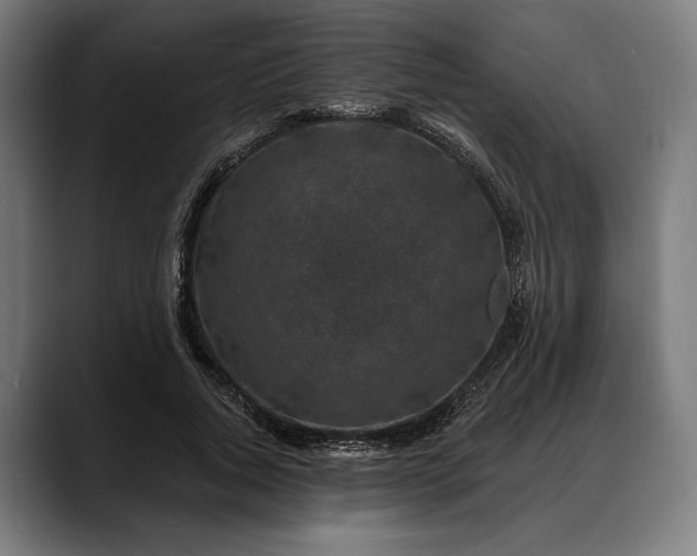 X0000088080736200705251408