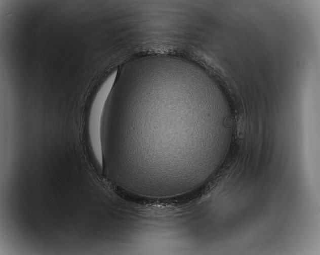 X0000088080737200705251408