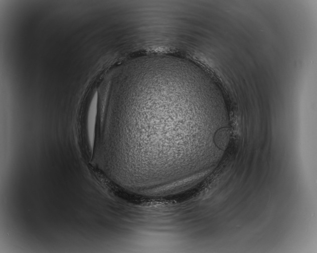 X0000088080738200705251408
