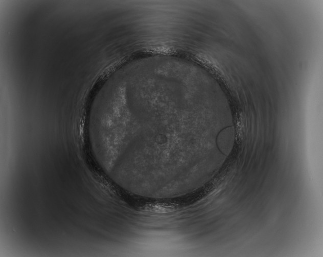 X0000088080739200705251408