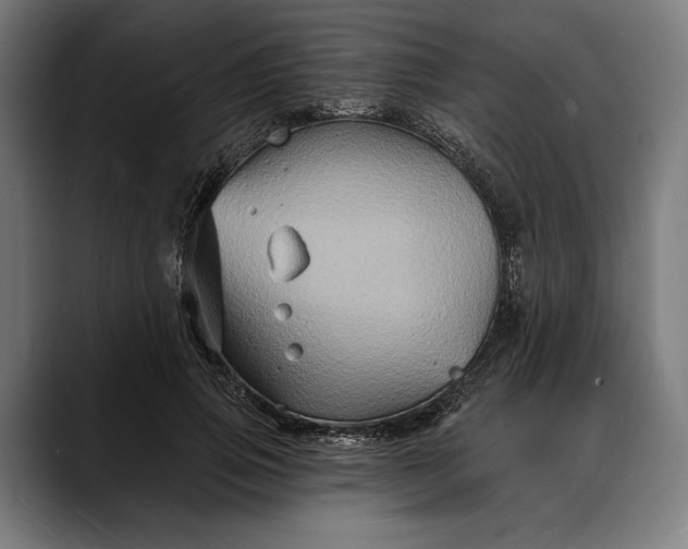 X0000088080741200705251408