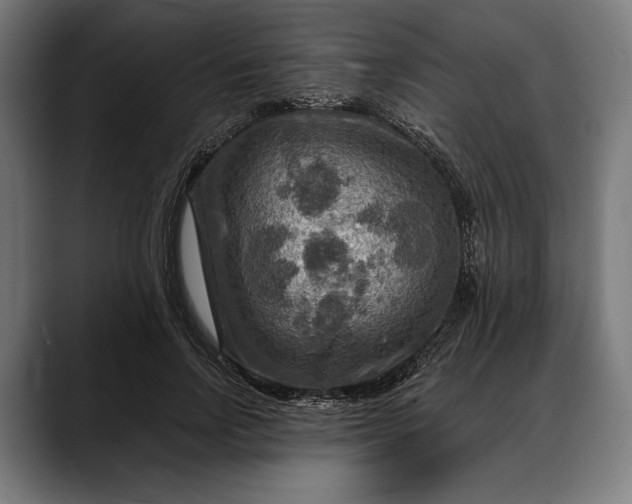 X0000088080742200705251408