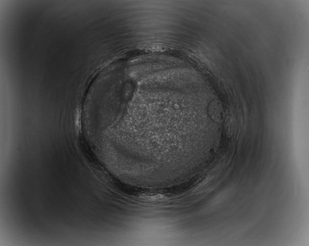 X0000088080747200705251408
