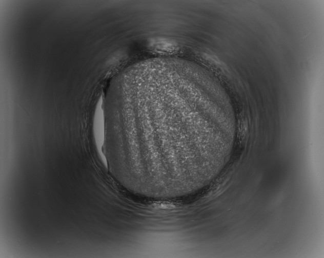 X0000088080749200705251408