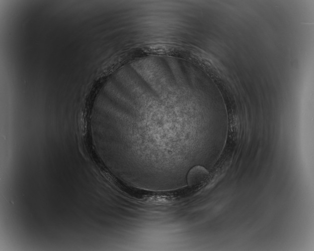 X0000088080751200705251408