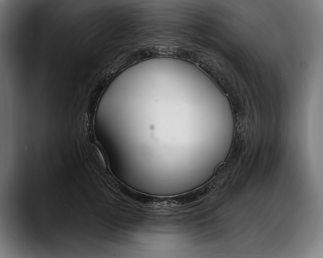 X0000088080752200705251408