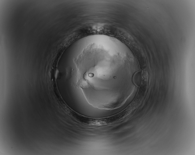 X0000088080754200705251408