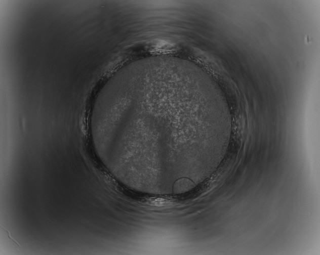 X0000088080755200705251408