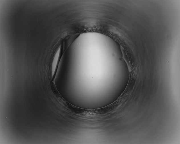X0000088080756200705251408