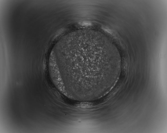 X0000088080758200705251408