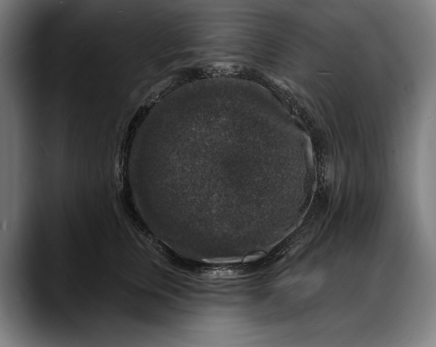 X0000088080759200705251408